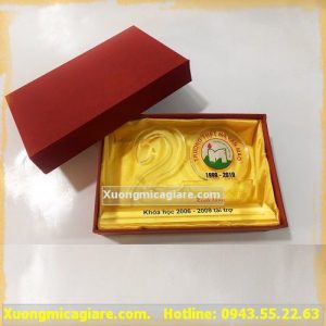 mẫu kỷ niệm chương mica hà nội giá rẻ